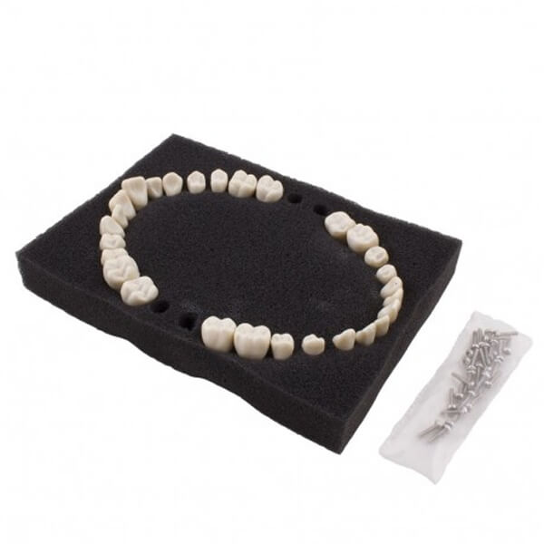 Dientes reposición tipo Ana-4