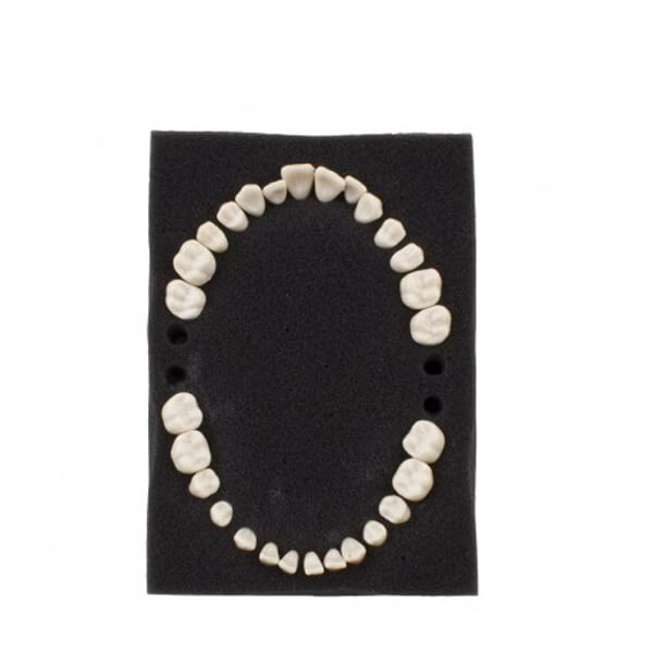 Dientes reposición tipo Ana-4