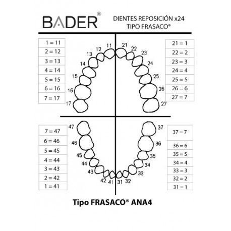 DIENTES REPOSICIÓN BADER Img: 201807031