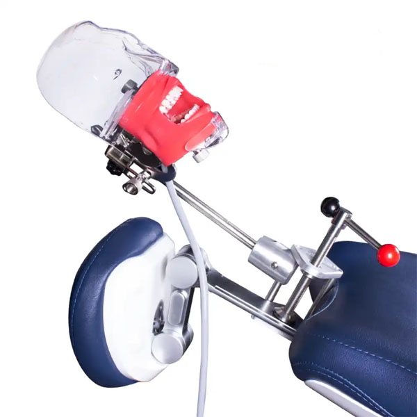 Simplicity: Fantoma Dental Maniquí Completo con Anclaje - Fontoma con anclaje Img: 202411091