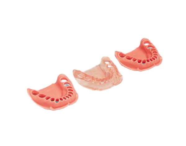 Encía de Recambio para Mandíbula de Tipodonto ANA-4 UK y ANKA-4 - UK - Normal Img: 202009261