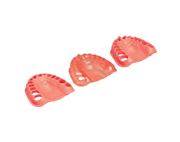 Encía de Recambio para Maxilar de Tipodonto ANA-4 OK y ANKA-4 OK - Normal Img: 202009261