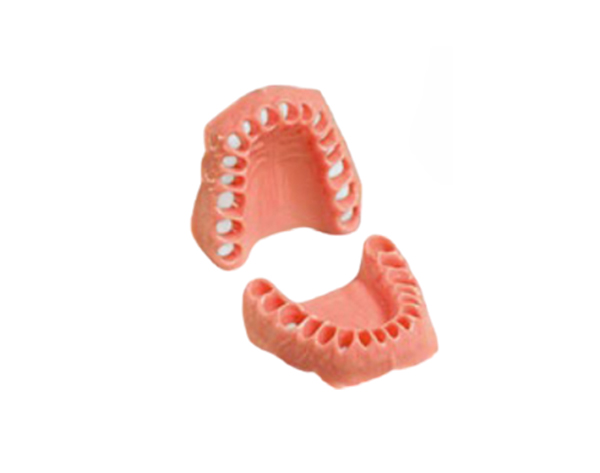 Estrato de Encía Elástico y Recambiable para Modelo AG-3 H - Maxilar Img: 202009261