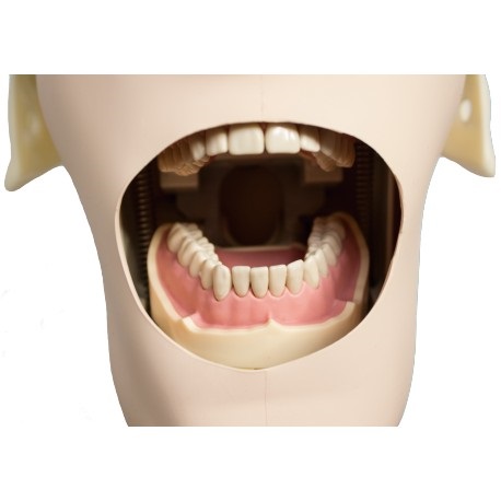 Fantoma completo Kim Bader