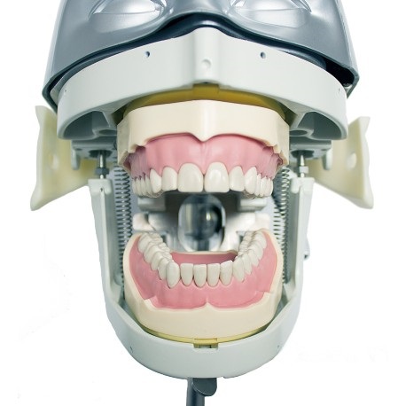 Fantoma completo kim