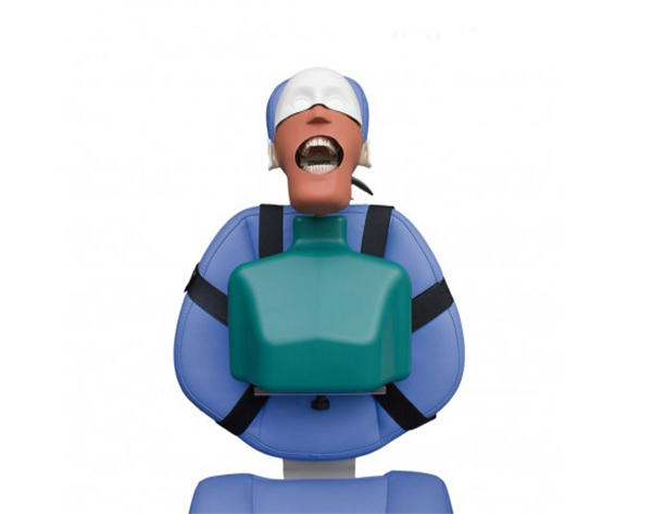 FANTOMA DENTAL MANIQUÍ COMPLETO BADER Img: 201907271