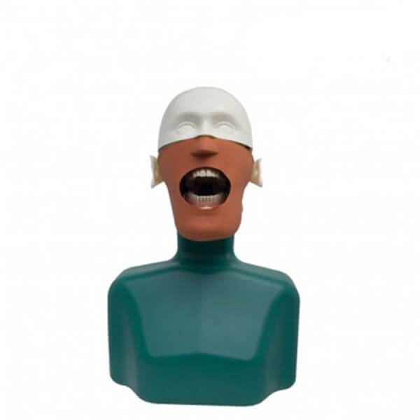  fantoma-dental-maniqui-completo-2