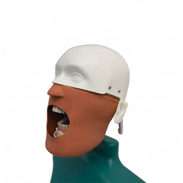  fantoma-dental-maniqui-completo-3