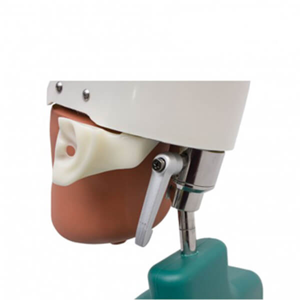  fantoma-dental-maniqui-completo-4