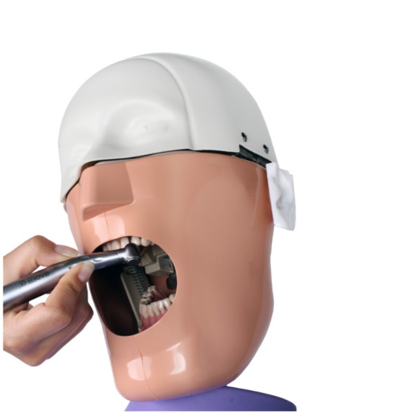 Fantoma modelo de practica con anclaje a mesa Img: 202207091