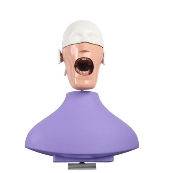 Fantoma modelo de practica con anclaje a mesa Img: 202207091