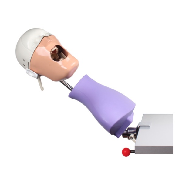 Fantoma modelo de practica con anclaje a mesa Img: 202207091