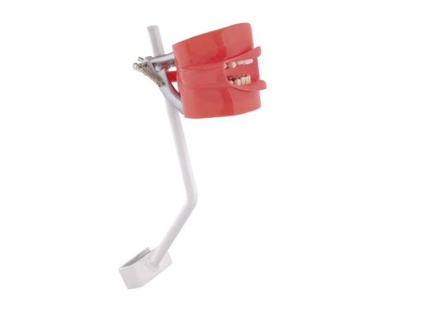 Fantoma modelo de práctica con anclaje a sillón Img: 202004181