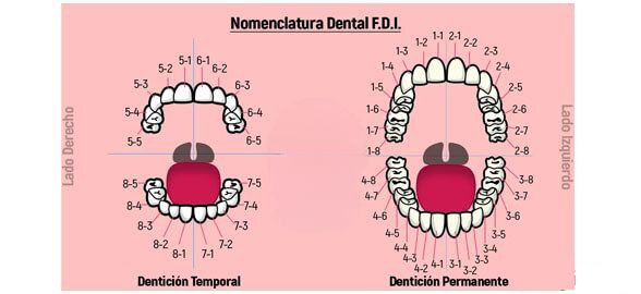 numeracion universal