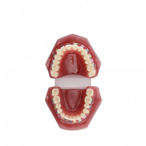 modelo-be-bracket-bader-2