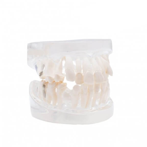  practica-de-ortodoncia-1