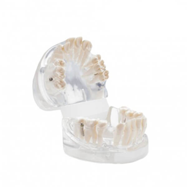  practica-de-ortodoncia-2