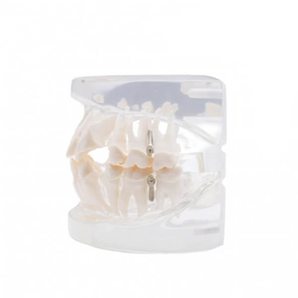  practica-de-ortodoncia-3