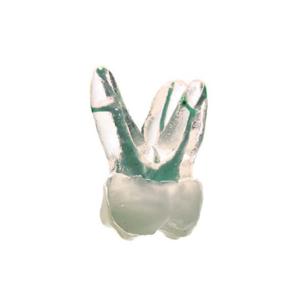 16-B-01: Primer molar maxilar estándar (gama BASIC)