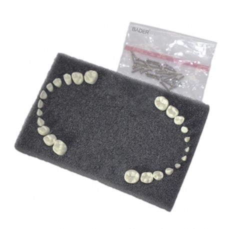 Reposición de dientes BADER