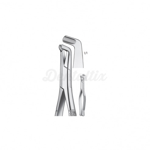409/222 FORCEPS CORDALES INF. Img: 201810271