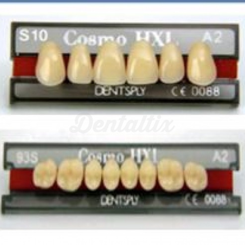 COSMO HXL ant sup S12 B2 Img: 201807031 COSMO HXL ant sup S12 B2 Img: 201807031