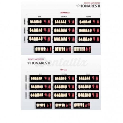 SR PHONARES II ant sup B83 A2 Img: 201807031 SR PHONARES II ant sup B83 A2 Img: 201807031