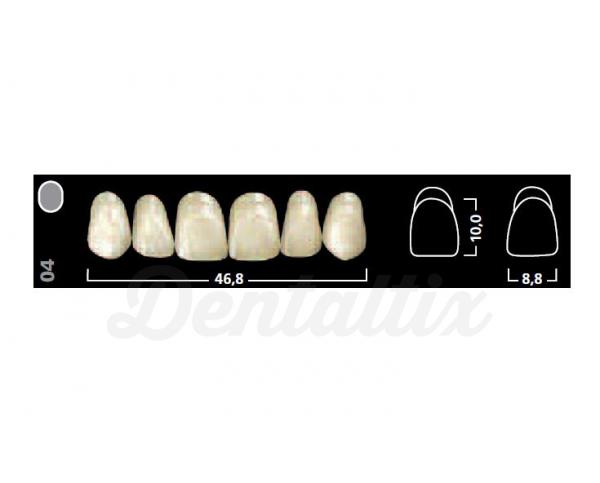 IVOSTAR A-D ant sup 03 A2 Img: 201807031