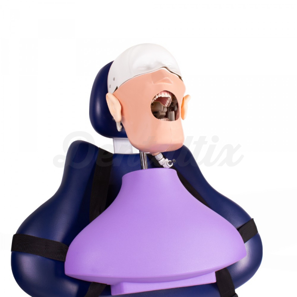 Fantoma dental Maniquí Completo Img: 202606271