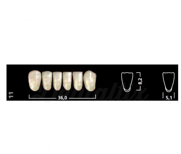 IVOSTAR A-D ant sup 45 A3 Img: 201807031