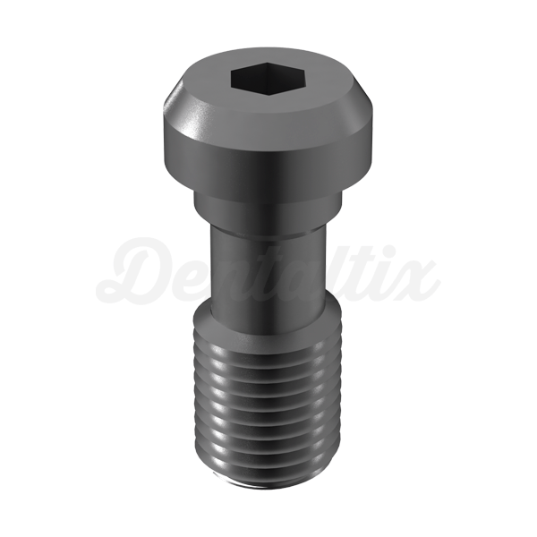 TORNILLO TITANIO C.EXT.HEX M2.5 WP Img: 201807031