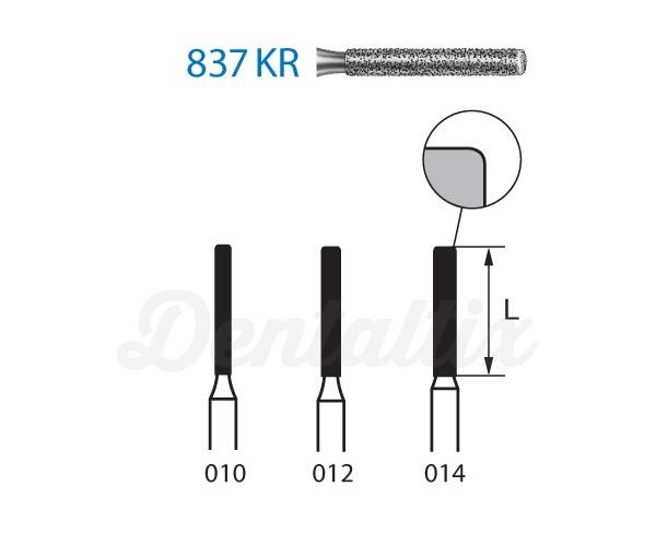 Fresas 837KR.314. Diamante Cilíndrica Plana FG (5 uds) - Nº 010 Img: 202203051