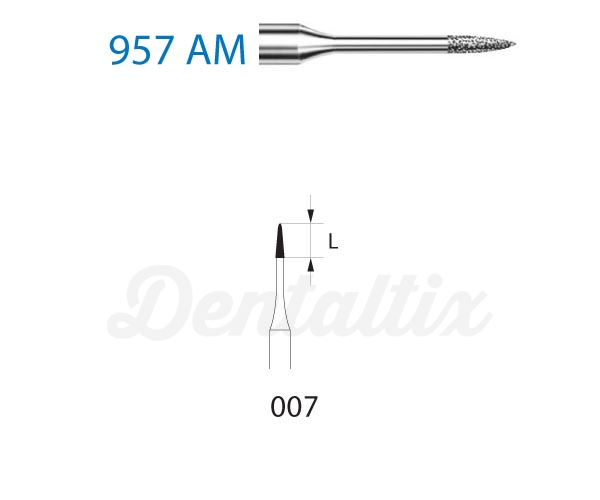 Fresa 957AM de Diamante para FG con Forma de Lanza (5 uds) Img: 202606271
