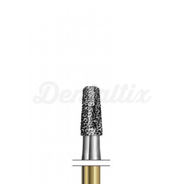 Fresa S6835KR.314. Diamante Cilindrica FG (5 uds) - Nº014 Img: 202203051