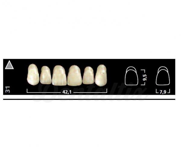 IVOSTAR A-D ant sup 05 A1 Img: 201807031