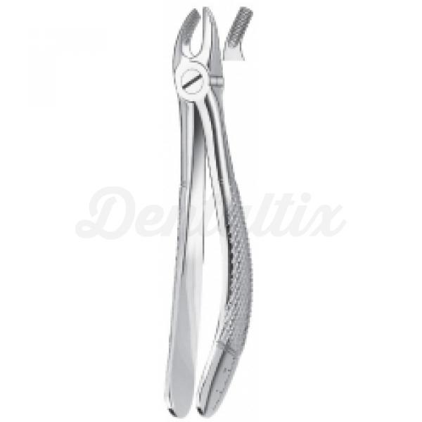 Forceps 29