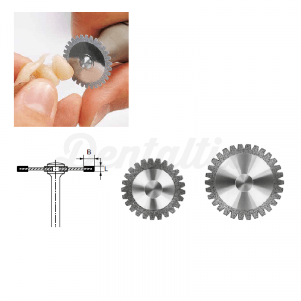 Disco montado corte acrílico 946 PM-Talla 220 Img: 201903231