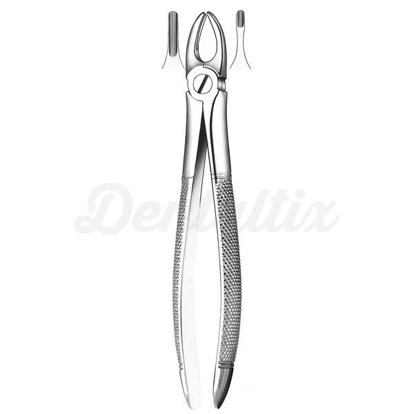 3 FORCEPS INCISIVO-CANINO SUP. Img: 201807031