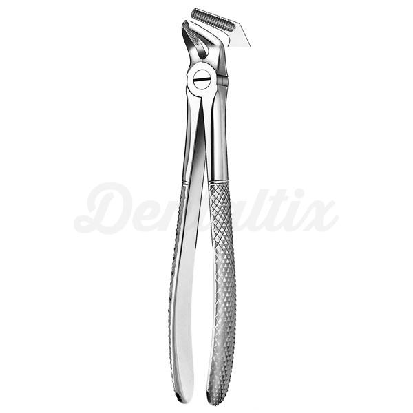 Forceps nº8 para Premolar Inferior Img: 201807031