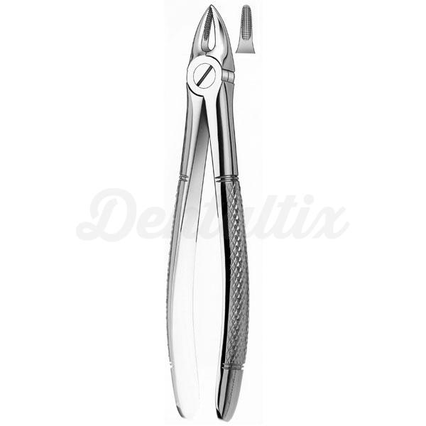 Forceps odontopediatría Incisivos Sup. y raíces 29K Img: 201807031