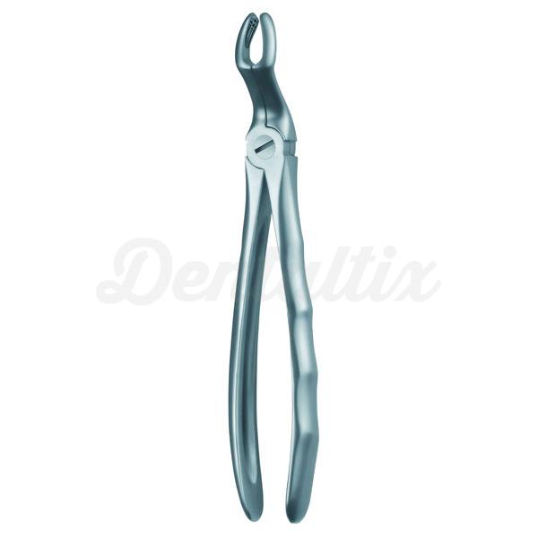67A FORCEPS CORDAL SUPERIOR Img: 201807031