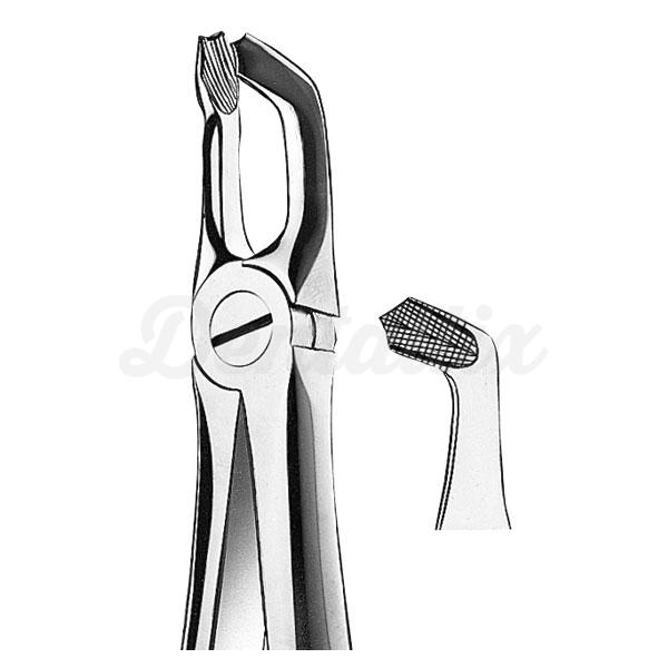 E79A FORCEPS CORDAL INFERIOR Img: 201807031