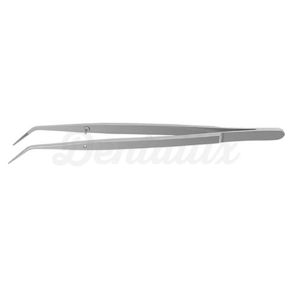 DP17 PINZA Img: 201807031