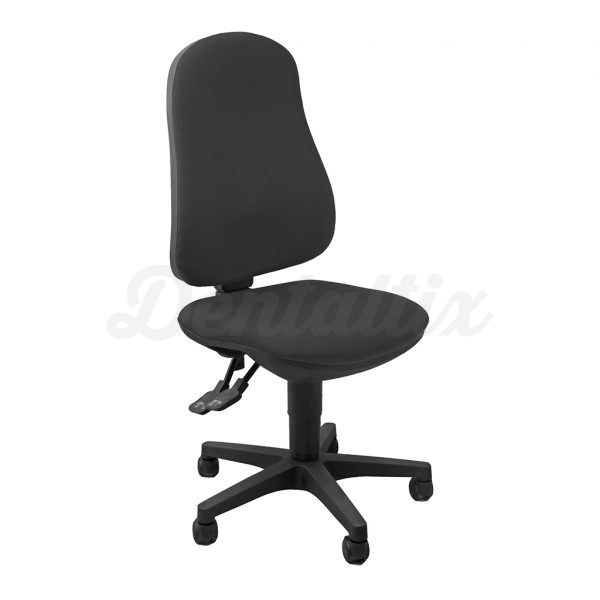 Sincro Ariel AISY: Silla de Oficina sin Reposabrazos - Negro Img: 202505311