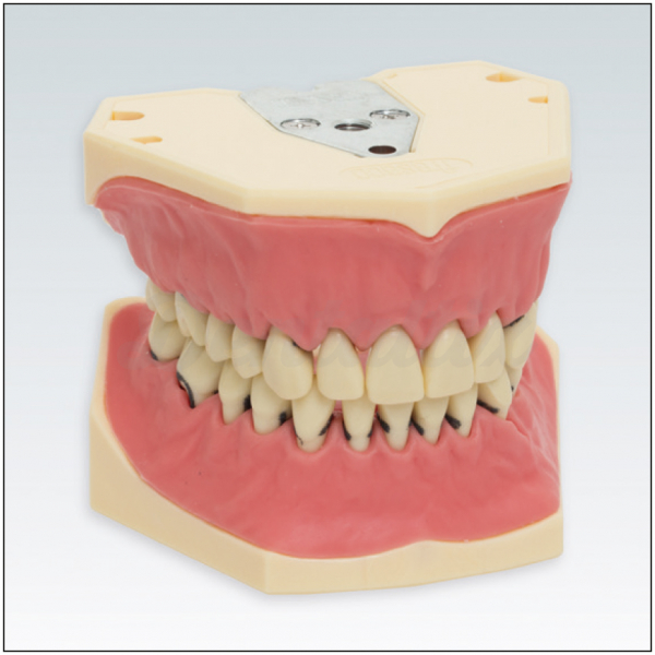APZOK: Tipodonto Dental Img: 202606271