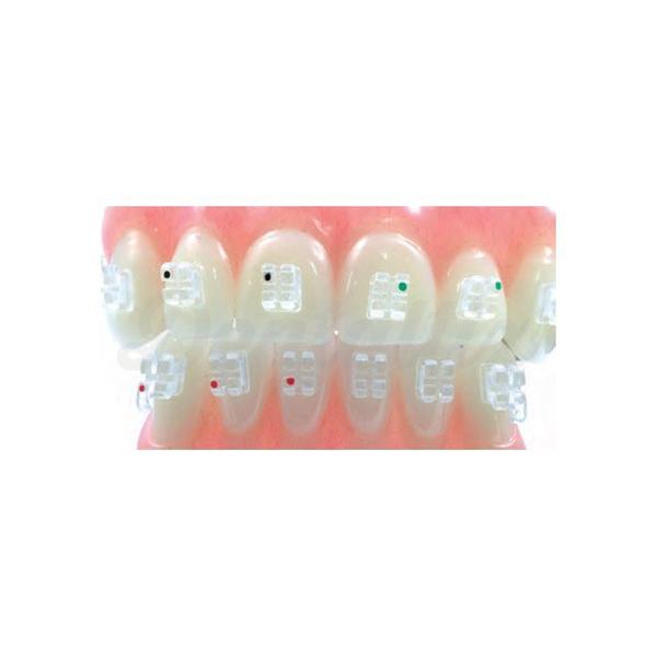 Brackets de Zafiro (20 uds) LEONE Dentaltix