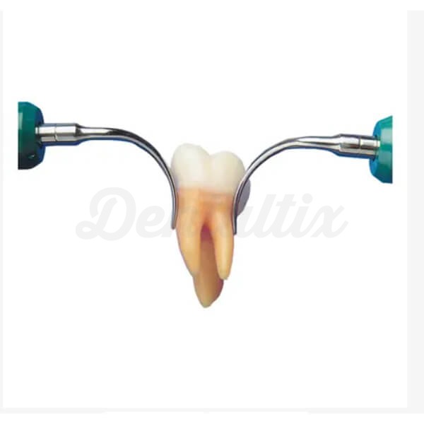 Cavitron Slimline-10 S FG: Insertos para Tratamiento Subgingival Img: 202501251