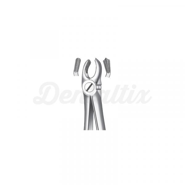 M2017 FORCEPS MOLAR SUP. DCHO. Img: 201810271