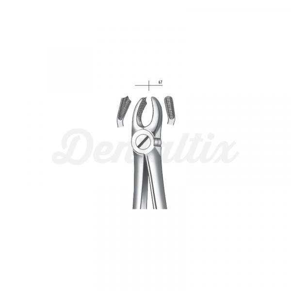 M2018 FORCEPS MOLAR SUP. IZQDO Img: 201810271