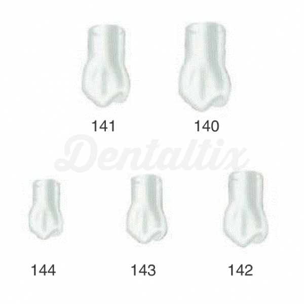 CORONAS TEMPORALES PRIMER PREMOLAR SUPERIOR DERECHA